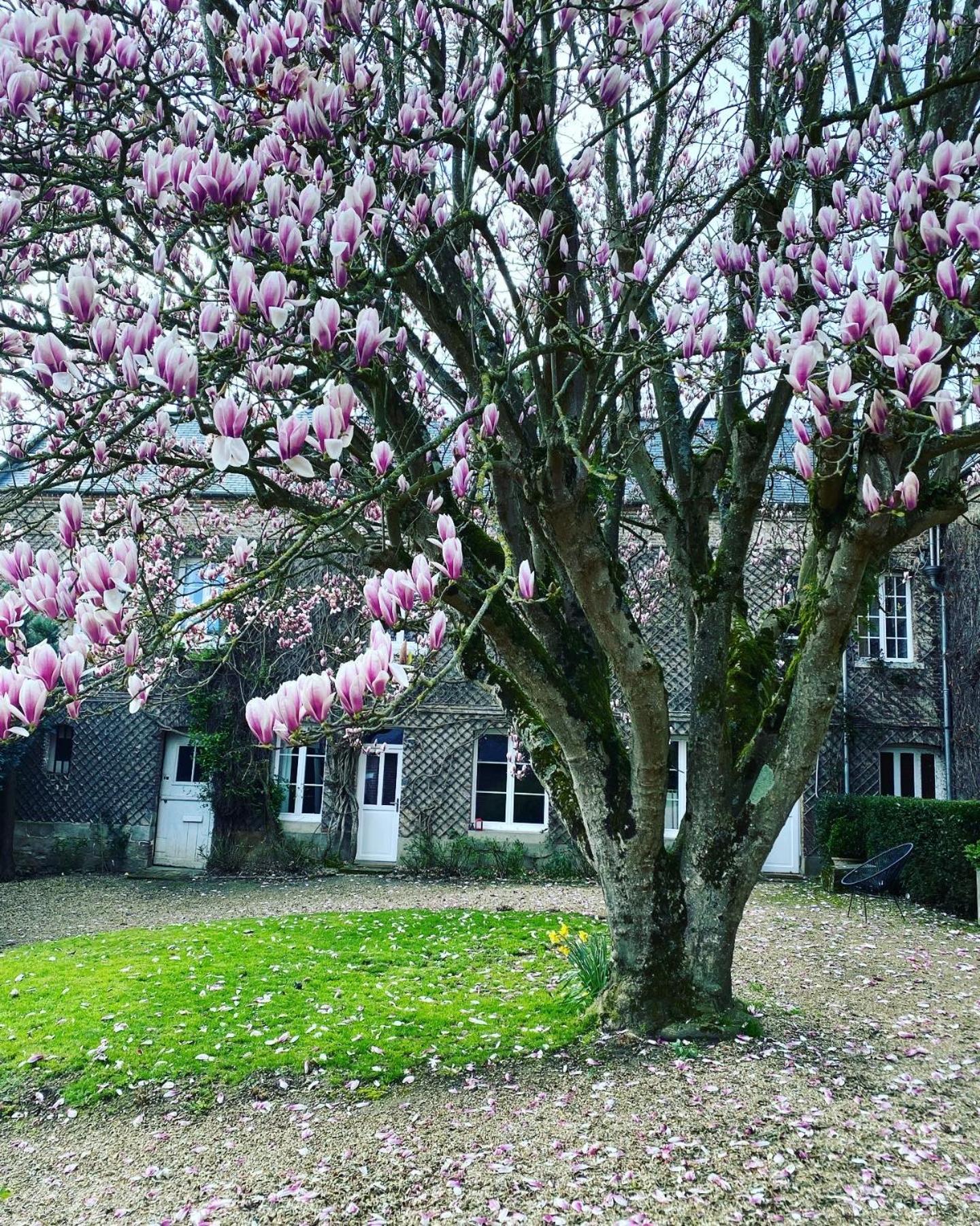 La Benjamine Bed & Breakfast Cany-Barville Dış mekan fotoğraf